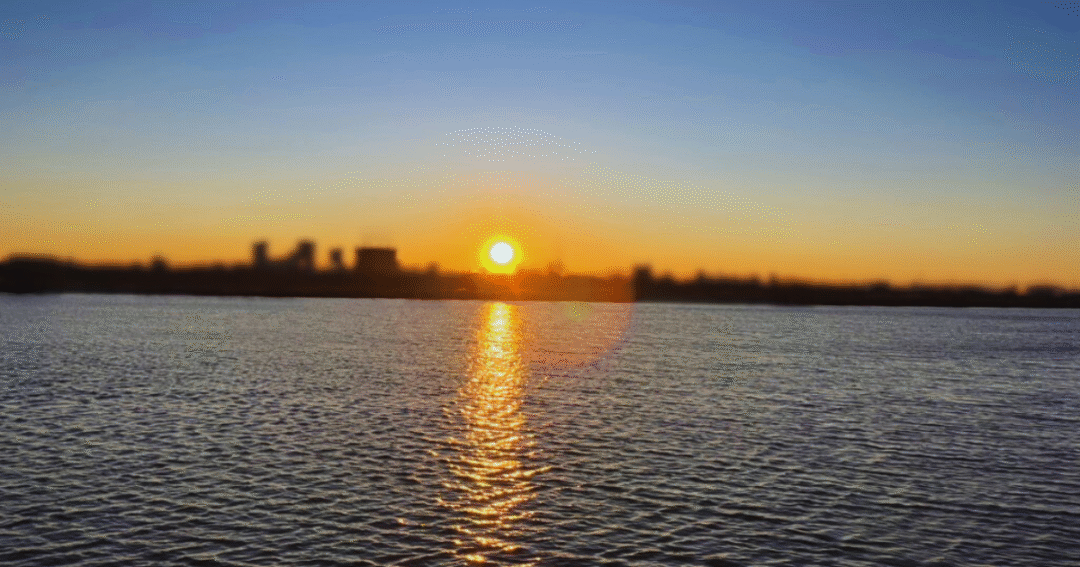 冬のさんぽの途中、川面に夕日が反射してやわらかく輝いている風景🌿