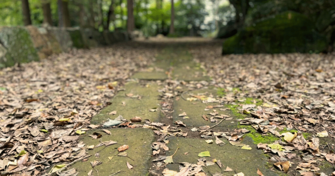 枯れ葉が舞う秋の公園。薄暗い石畳の小道が、光の差す先へと続いていく——心の旅のはじまりを感じる風景。
