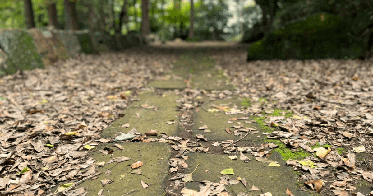 枯れ葉が舞う秋の公園。薄暗い石畳の小道が、光の差す先へと続いていく——心の旅のはじまりを感じる風景。