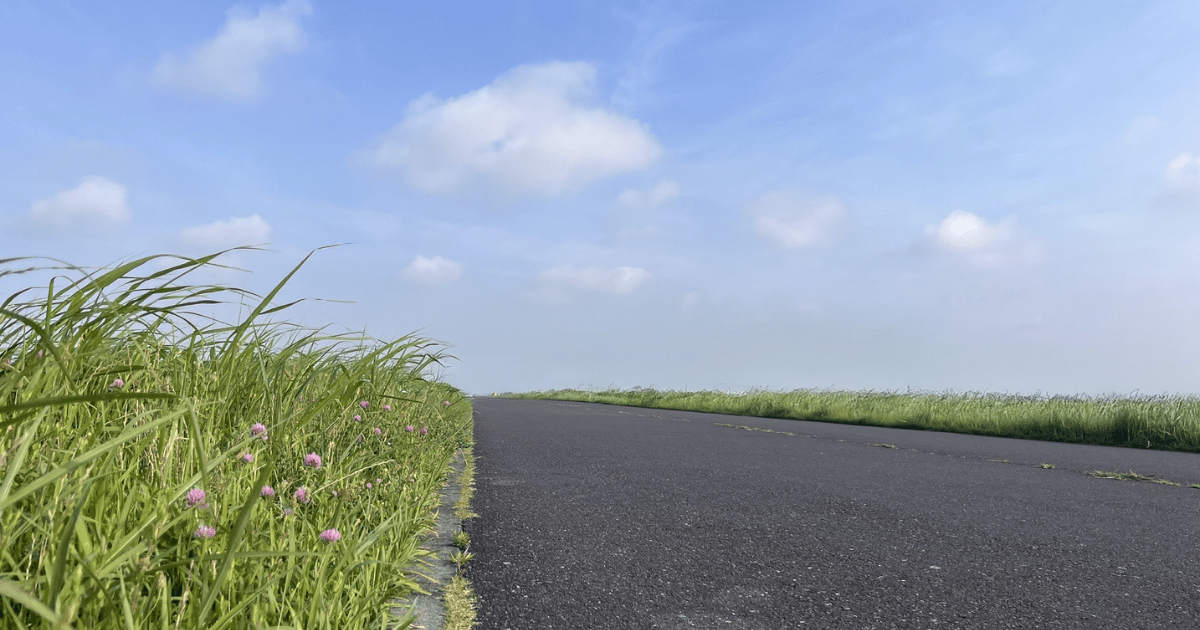 青空の下、土手の小道が草に囲まれて続く風景