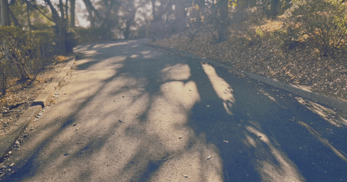 静かな時間が流れる公園の遊歩道🌿
